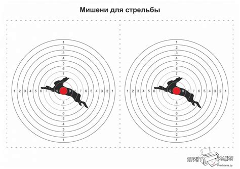 Декорирование и настройка мишени