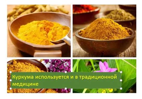 Деликатесное использование куркумы в щах: рецепты и рекомендации