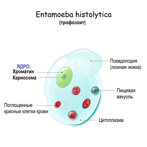 Дефектное ядро