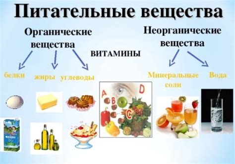 Дефицит важных питательных веществ