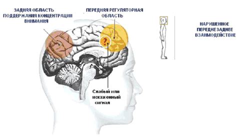 Дефицит внимания и любопытство