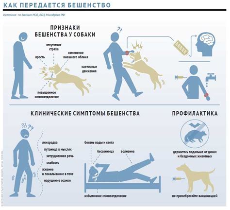 Диагностика бешенства у человека