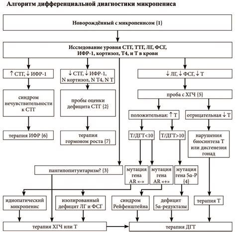 Диагностика раздувшегося посудинузастенкаожирения