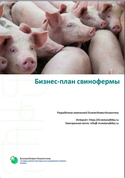 Диета и питание свиноводческого хозяйства: роль в здоровье животных