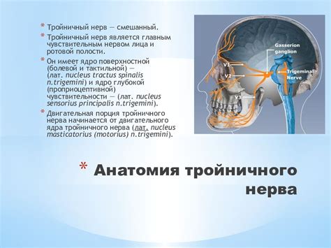 Диета при воспалении тройничного нерва