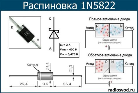 Диод цепкая: основные характеристики