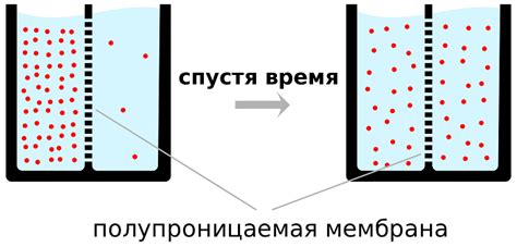 Диффузия: определение и принцип действия