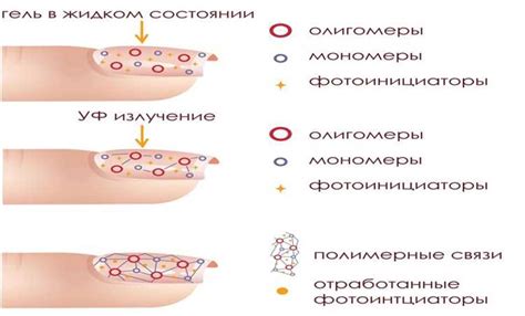 Длительность полимеризации гель-лака