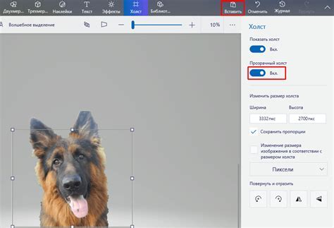 Для чего нужно удалить фон в Paint 3D