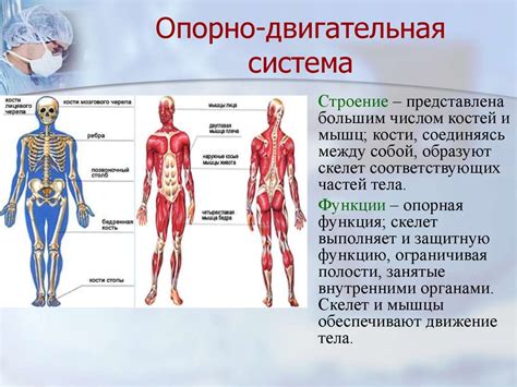 Добавление двигательной системы