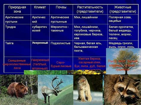 Добавление деталей: растительность, животные и люди