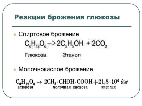 Добавление дрожжей и начало брожения