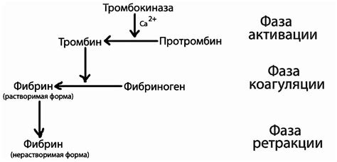 Добавление желатина и ожидание свертывания