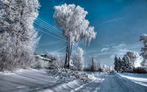 Добавление снега и деревьев