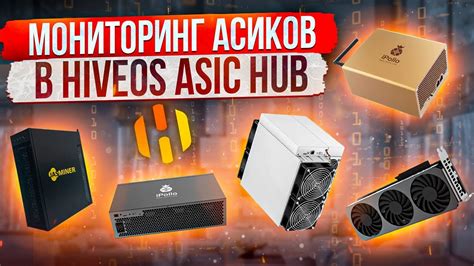 Добавление ASIC в HiveOS