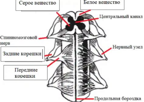 Добавьте детали к голове