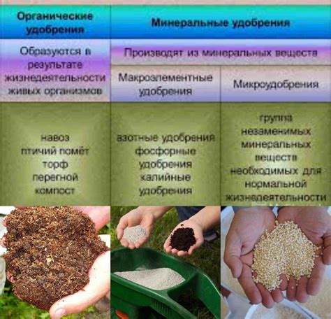 Добавьте органические удобрения