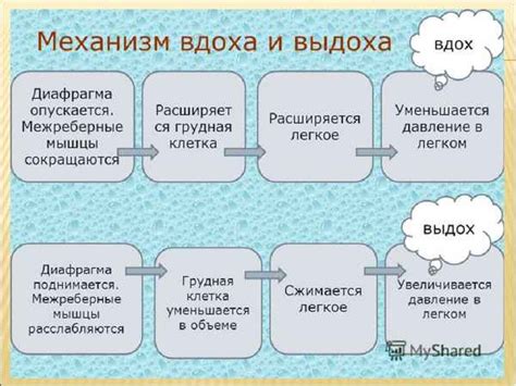 Добавьте ощущения: применение вдоха и других сенсорных элементов