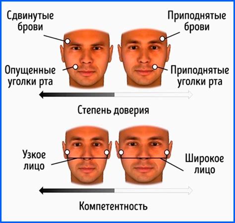 Добавьте характерные черты лица