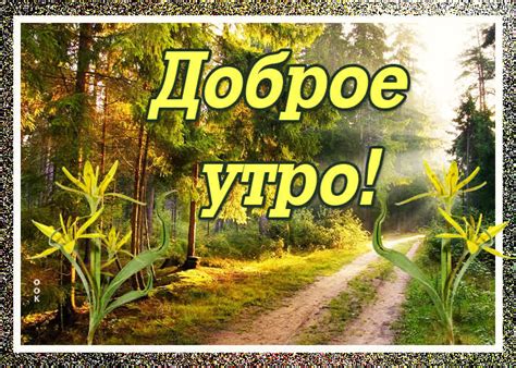 Доброе утро в лесу