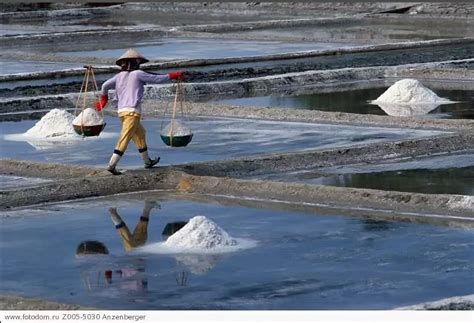 Добыча соли из морской воды