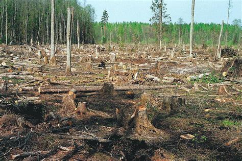 Договор о передаче Даманского острова Китаю