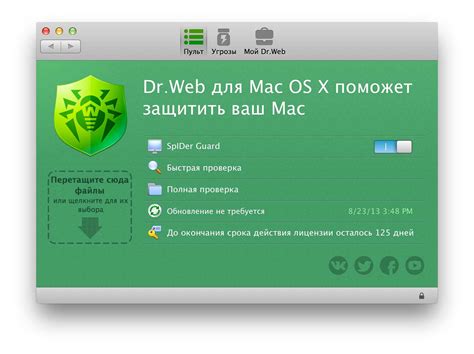 Доктор Веб: принцип работы, функции и особенности