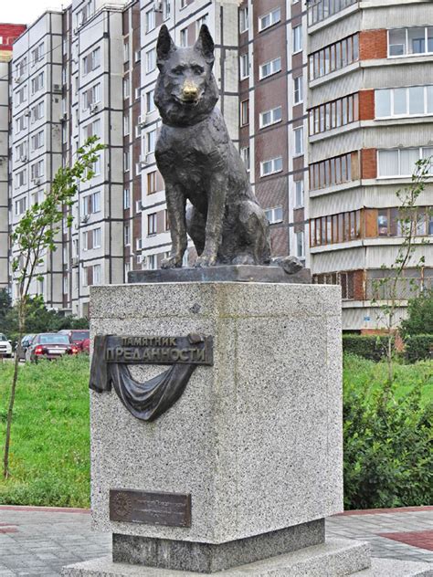 Долгопупс: живой памятник доблести и преданности