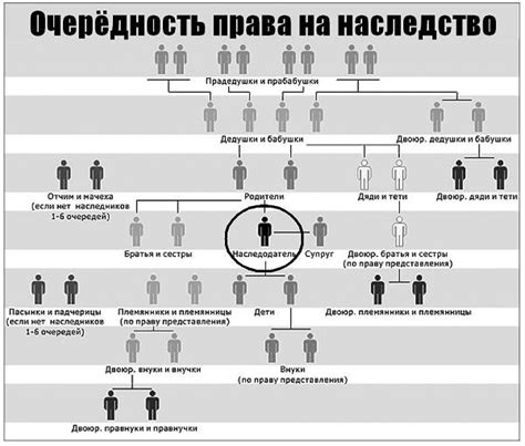 Доля наследства: что это такое и какова ее роль