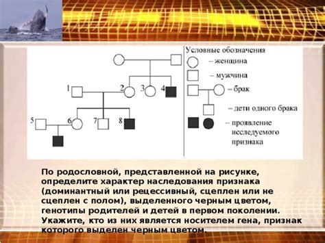 Доминирование белого гена в родословной