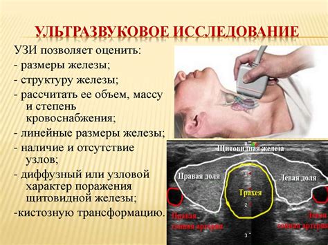 Дополнительные методы обследования щитовидной железы