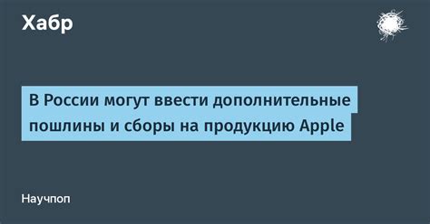 Дополнительные сборы и пошлины: какие еще платежи импортеру нужно учесть?