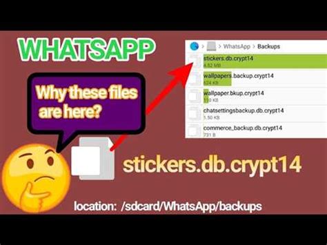 Дополнительные сведения о файле db crypt 14 WhatsApp и его использовании