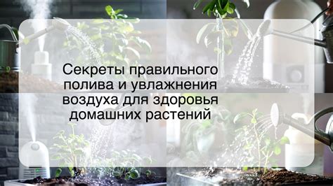 Дополнительные советы для успешного полива и поддержания здоровья растений