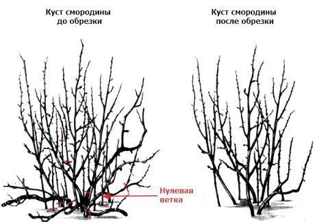 Дополнительные советы и приемы для получения качественного рисунка