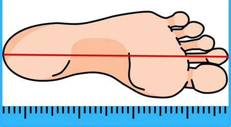 Дополнительные советы по измерению ноги
