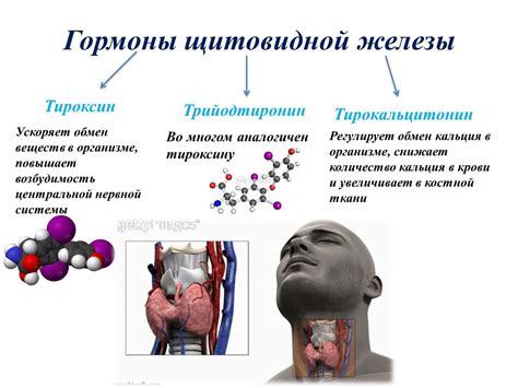 Дополнительные способы стимуляции гормонов щитовидной железы