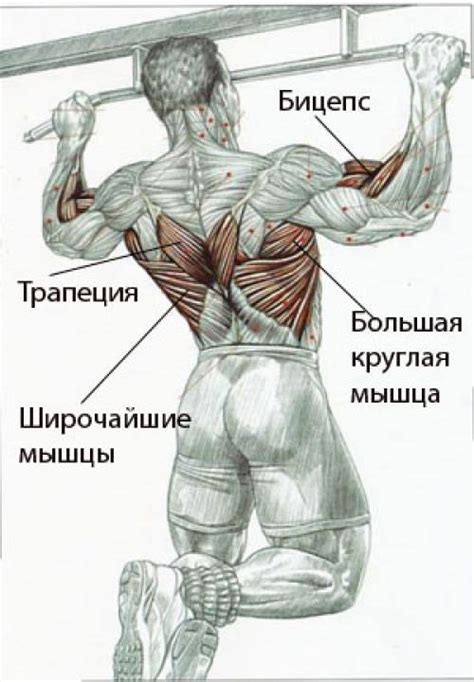 Дополнительные упражнения для прокачки мышц, необходимых для подтягиваний на турнике