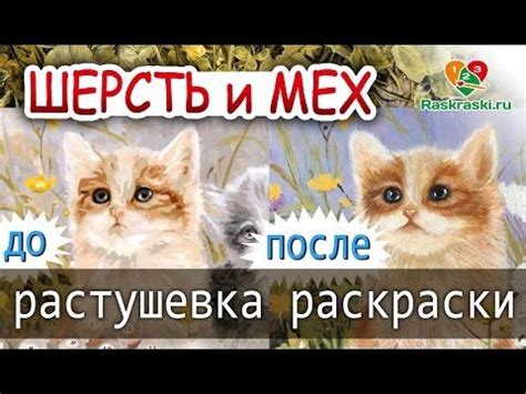 Доработка шерсти