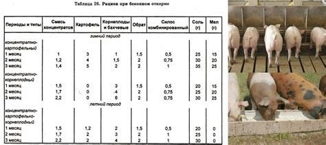 Достоинства и недостатки включения рыбных костей в рацион свиней