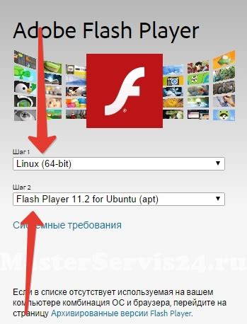 Доступные варианты установки флеш плеера