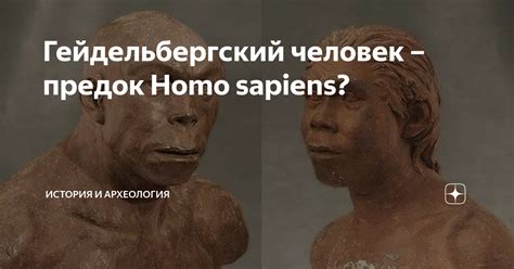 Древнейший предок Homo sapiens