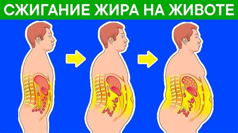 Душевное здоровье и снижение жира на животе