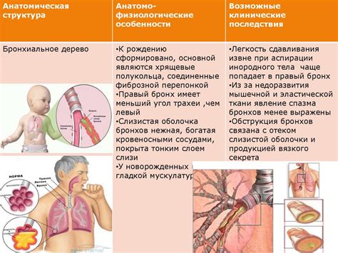 Дыхательная система новорожденных