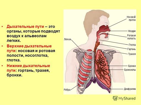 Дыхательные пути забиты