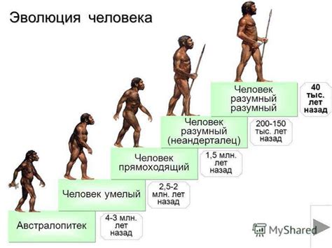 Его история и эволюция