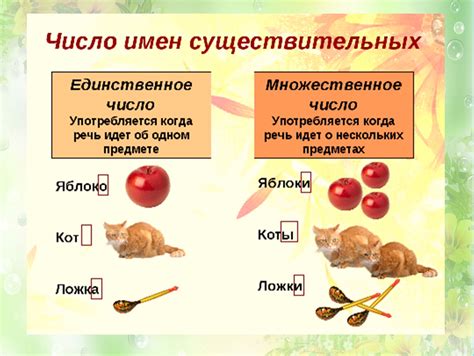 Единственное число и множественное число