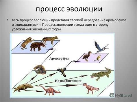 Единый процесс эволюции