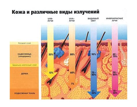 Ежедневные воздействия на сухую кожу