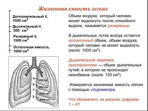 Емкость легких